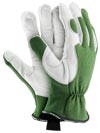 RMC-WINTREE - PROTECTIVE GLOVES